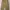 Carhartt Casual Jeans Pria tan photo 2