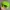 Vintage nike acg hat volt neon cap photo 3