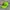 Vintage nike acg hat volt neon cap photo 1