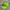Vintage Nike Acg Hat Volt Neon Cap