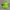 Vintage Nike Acg Hat Volt Neon Cap