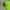 Vintage nike acg hat volt neon cap photo 5
