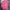 Kaos Polos Basic Merix Pink photo 1