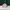 LA Pink Cap photo 4