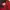 McGregor Y2K Gorpcore Parka Pria burgundy red photo 5