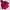 McGregor Y2K Gorpcore Parka Pria burgundy red photo 6