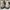 Tod's Casual Boots Pria brown photo 6
