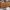 Michael Kors Brown Front Flap Slingbag Purse Wallet photo 4
