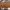 Michael Kors Brown Front Flap Slingbag Purse Wallet