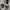 PUMA SPEEDCAT GRAY photo 5