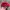 VINTAGE SNAPBACK CONSOLIDATED FREIGHTWAYS photo 4