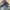 VTG EDWIN LOT505 MADE IN JAPAN selvedge accent photo 3