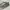 VANS Streetwear Sneakers Pria green photo 2