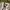 Intermezo
Windbreaker boxy with inner wool vest Boxy Fit photo 2