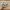 Adidas Streetwear Sportswear Sneakers Pria multicolor photo 4