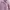 jacket pink photo 1