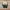 Adidas Streetwear Sportswear Sneakers Pria multicolor photo 5
