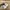 Adidas Streetwear Sportswear Sneakers Pria multicolor photo 6