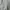 Muslim Maxi dress Wanita green photo 3
