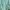 Muslim Maxi dress Wanita green photo 4