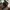 Tumblr Hydro Flask 21Oz Black Standart Mouth Straw Cap photo 3