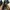 Tumblr Hydro Flask 21Oz Black Standart Mouth Straw Cap