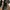 Tumblr Hydro Flask 21Oz Black Standart Mouth Straw Cap photo 1