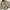 Kansai Yamamoto Vintage Y2K Puffer jacket Pria tan photo 2