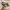 Adidas Casual Sneakers Pria navy gray photo 4
