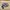 Adidas Casual Sneakers Pria navy gray photo 1
