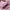 Adidas Casual Sneakers Wanita pink photo 7