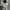 All size  photo 1