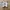 Adidas Streetwear Sportswear Sneakers Wanita white photo 3