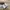Adidas Streetwear Sportswear Sneakers Wanita white photo 6