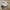 Adidas Streetwear Sportswear Sneakers Wanita white photo 1