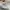 Adidas Streetwear Sportswear Sneakers Wanita white photo 7
