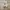 Adidas Streetwear Sportswear Sneakers Wanita white photo 5