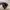 Adidas Streetwear Sportswear Sneakers Pria white black photo 6