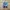 Adidas Streetwear Sportswear Sneakers Wanita white blue photo 5
