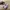 New Balance Streetwear Sportswear Sneakers Wanita white photo 6