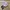 New Balance Streetwear Sportswear Sneakers Wanita white photo 1