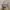 New Balance Streetwear Sportswear Sneakers Wanita white photo 4