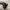 New Balance Streetwear Sportswear Sneakers Wanita black photo 6