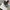 Samsung Galaxy A50 – RAM 6GB / 128GB photo 4