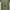 Korean Dress (Green) photo 6