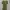 Korean Dress (Green) photo 1