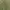 Korean Dress (Green) photo 7