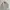 Vintage 90’s London Fog Khaki Harrington Work Jacket photo 1