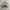 Vintage 90’s London Fog Khaki Harrington Work Jacket photo 6