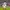 Rare Jersey Original AC Milan Away 2009-2010 Inzaghi UCL photo 3